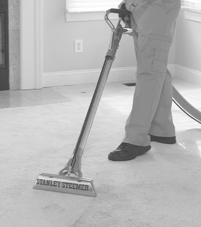 Technician professionally cleaning carpet