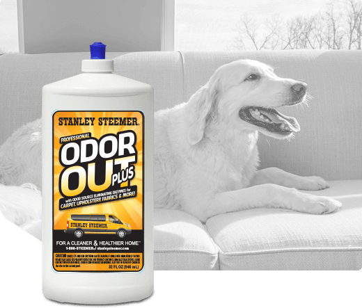 Bottle of Stanley Steemer Odor Out Plus cleaner.